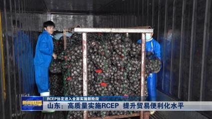 RCEP協定進入全面實施新階段——山東高質量實施RCEP提升貿易便利化水平，推動貨物進出口發展