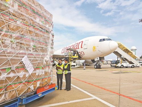 國內首條金磚跨境電商空運專線累計出口包裹突破4700萬件，助推經貿合作提質升級